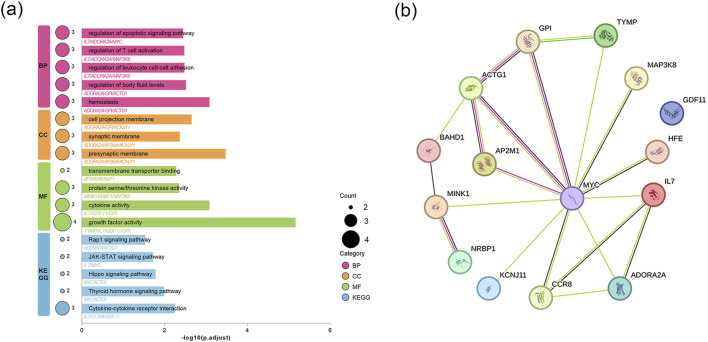 FIGURE 4