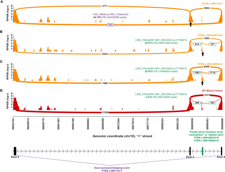 Figure 3