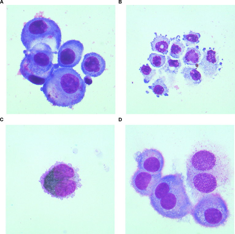 Figure 2