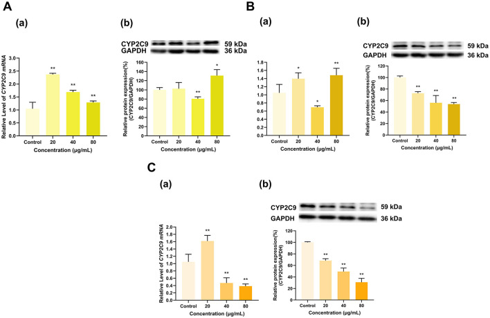 Figure 12