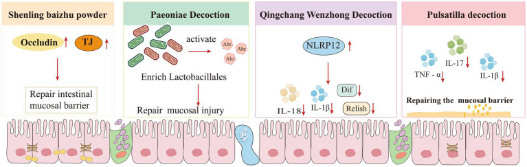 Figure 13