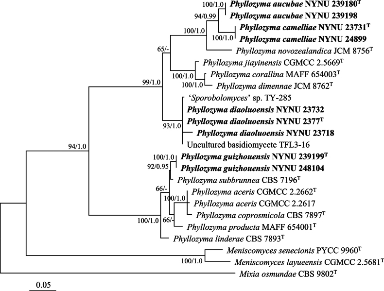 Figure 2
