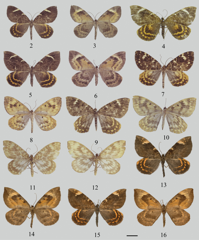 Figure 2
