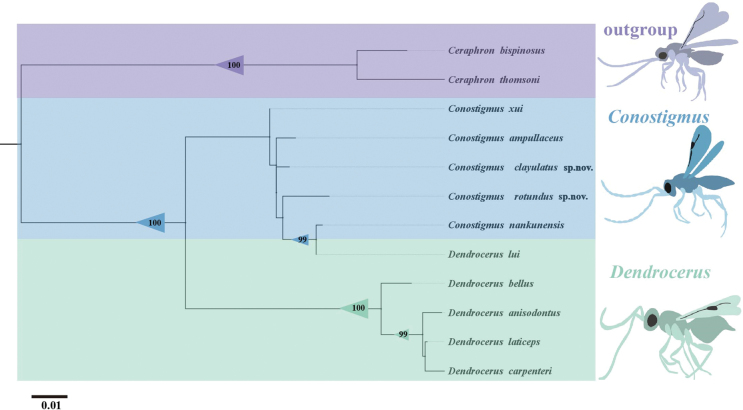 Figure 7