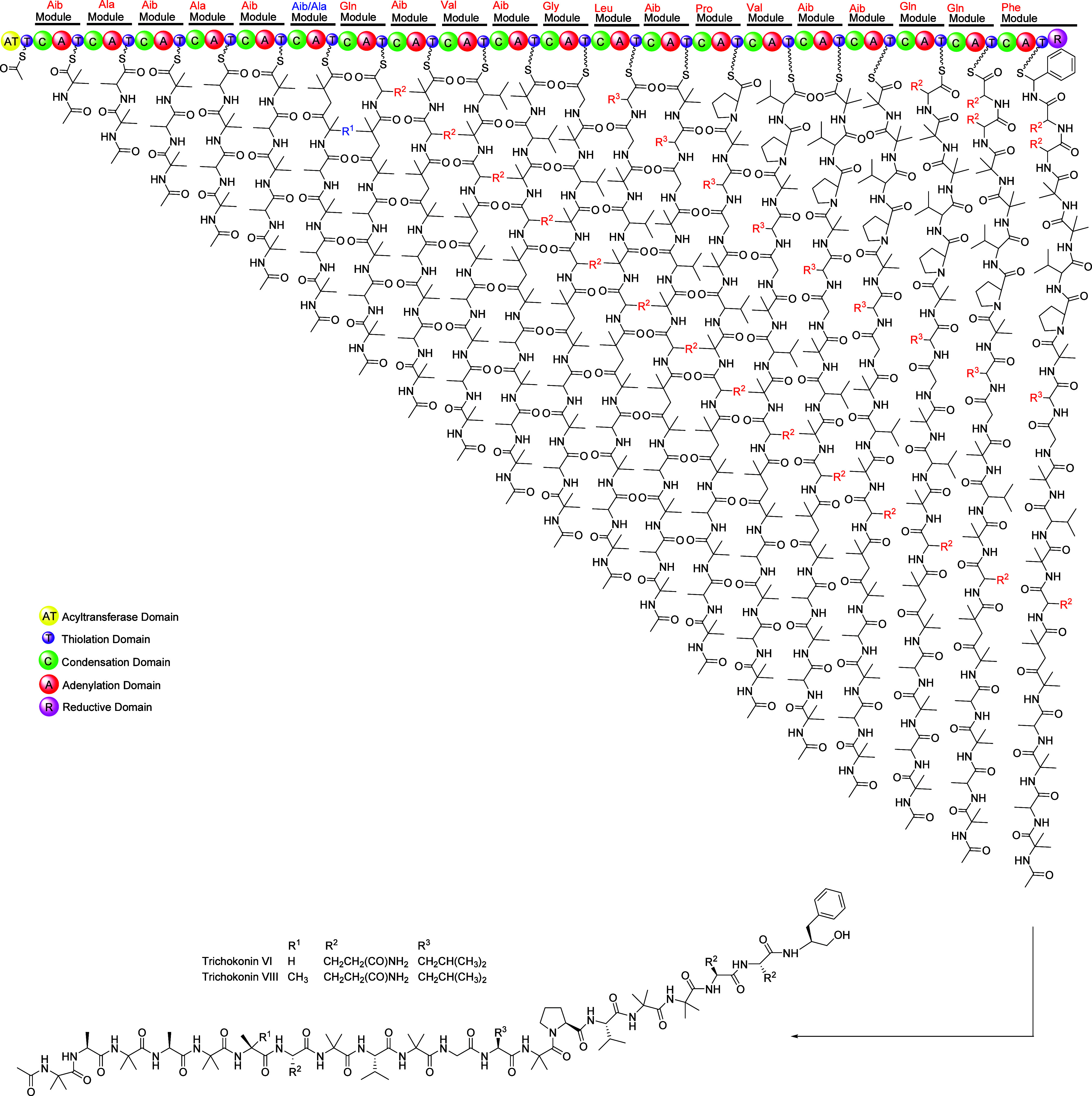 Figure 8