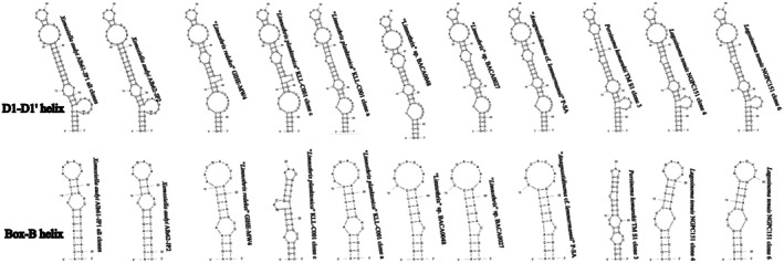 Figure 9