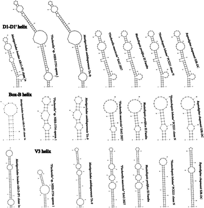 Figure 11