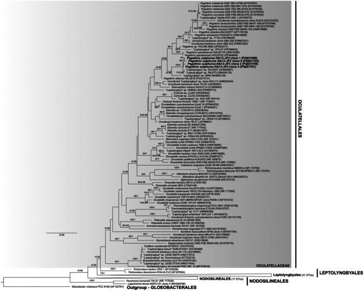 Figure 12