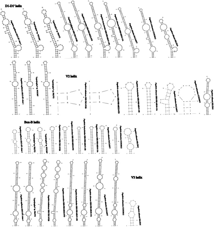 Figure 13