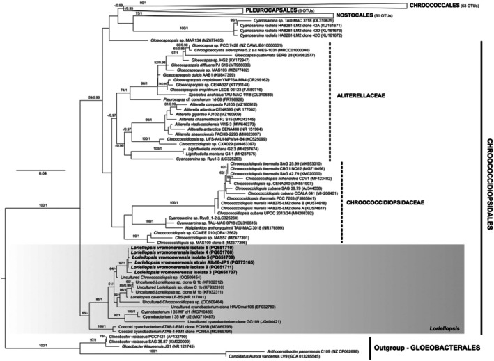 Figure 14