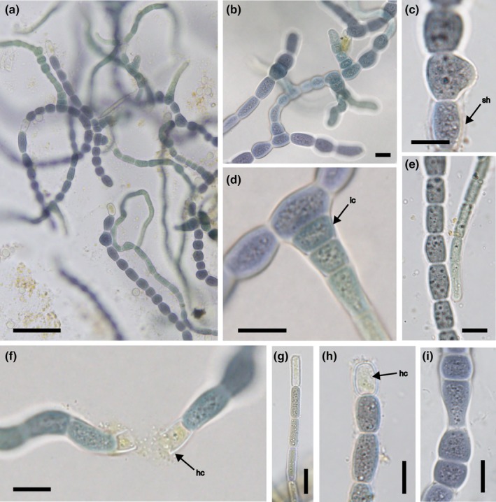 Figure 16