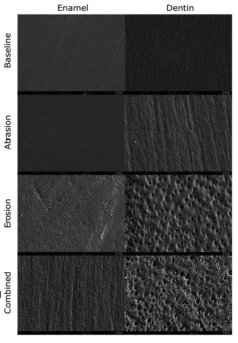 Fig 7