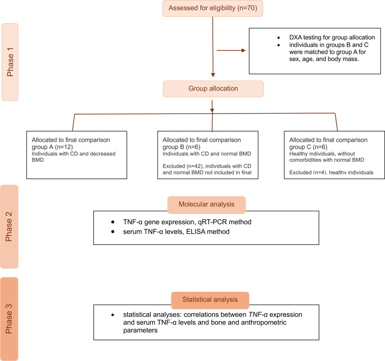 Figure 1