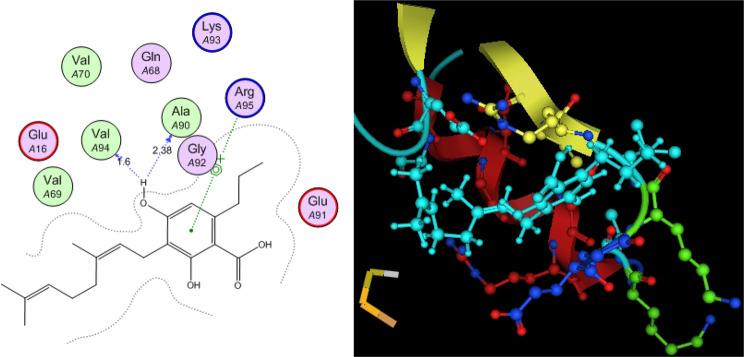 Figure 17