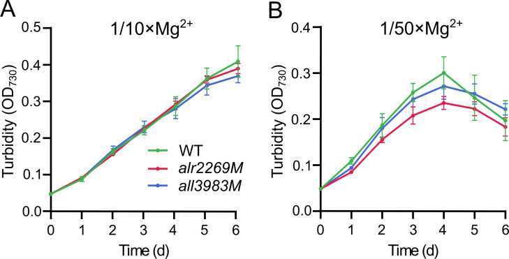 Fig 6