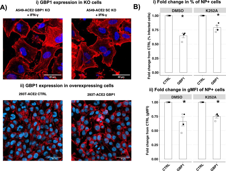 Fig 6