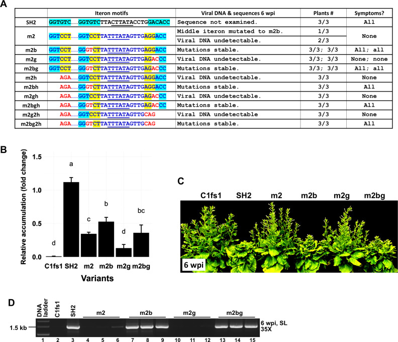 Fig 6