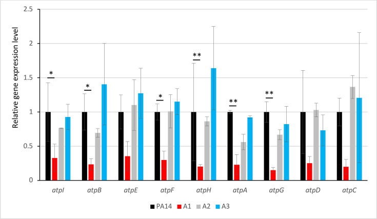 Fig 1