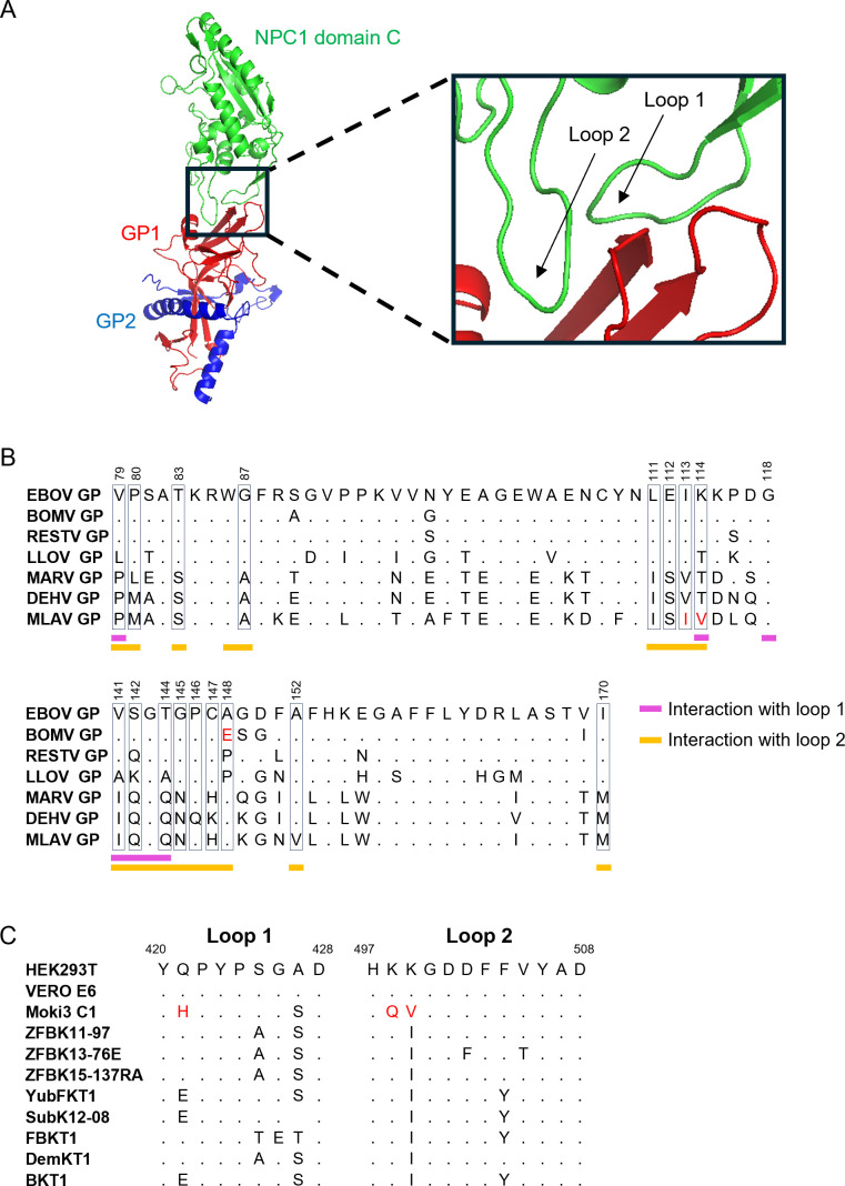 Fig 7