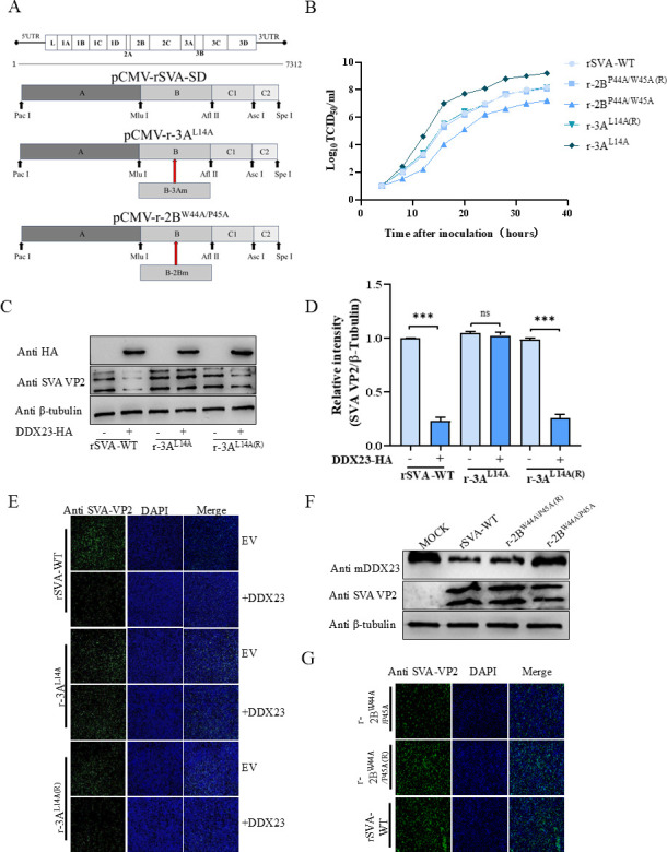 Fig 10