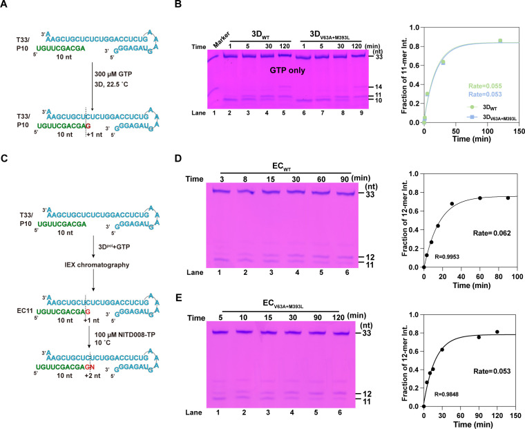 Fig 4