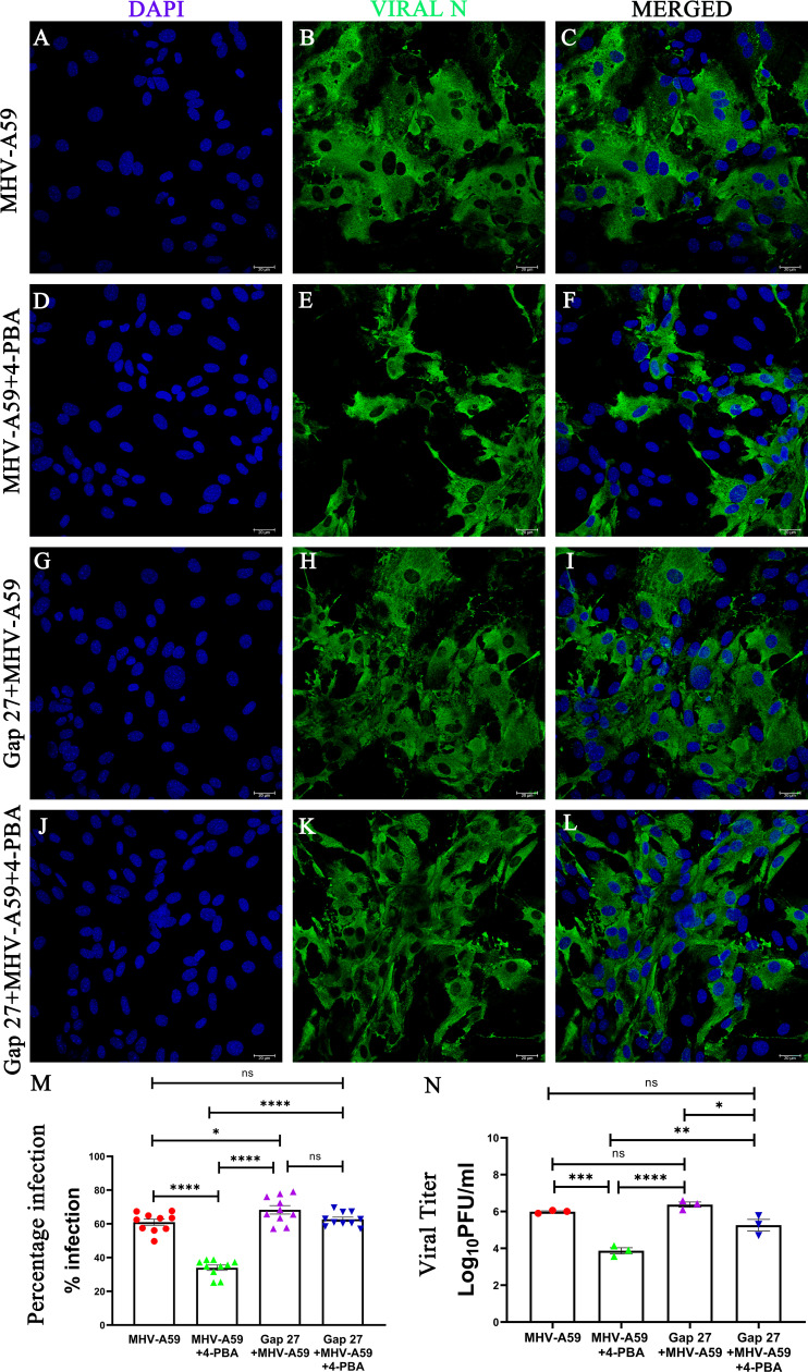 Fig 12