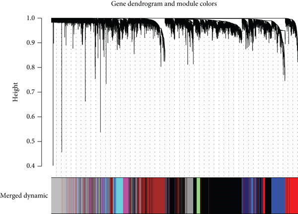Figure 19