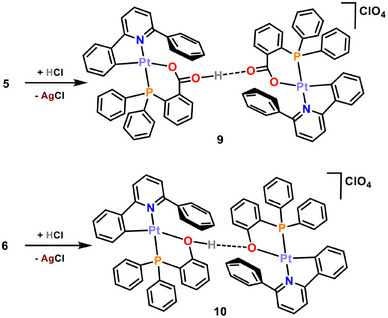 Scheme 5