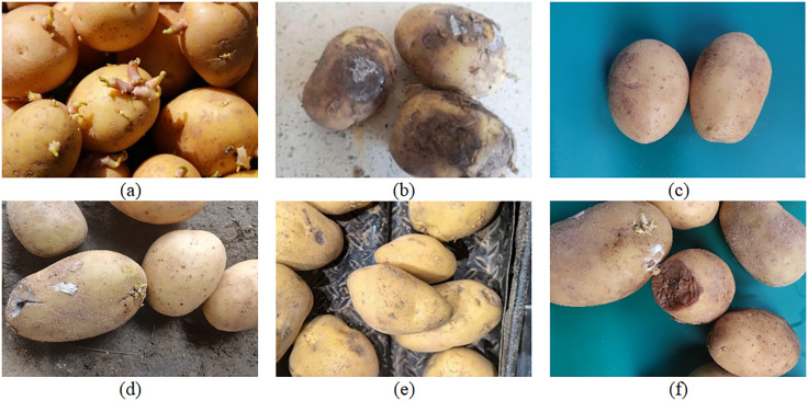 Fig 8