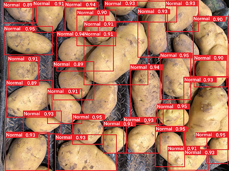Fig 11