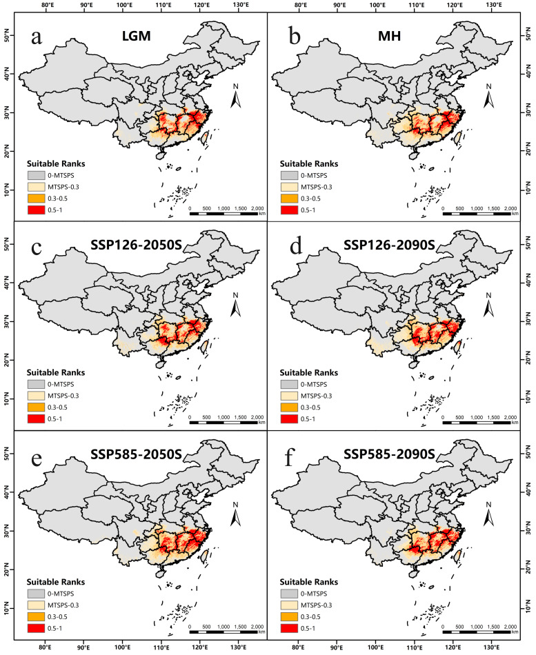 Fig 6