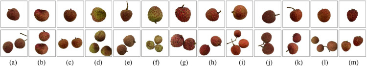 Fig 4