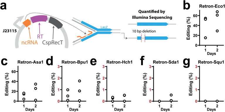 Fig 6