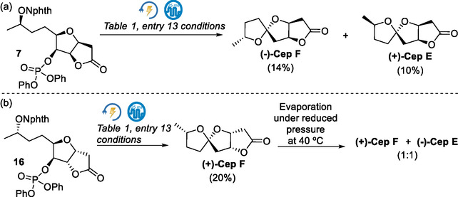 Scheme 6