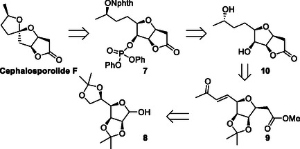 Scheme 4