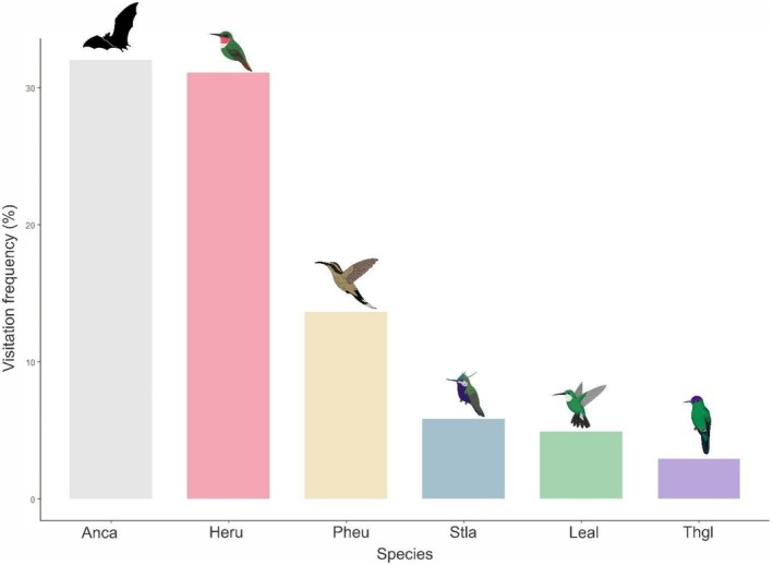 FIGURE 6