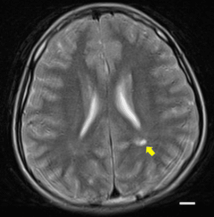 Figure 7