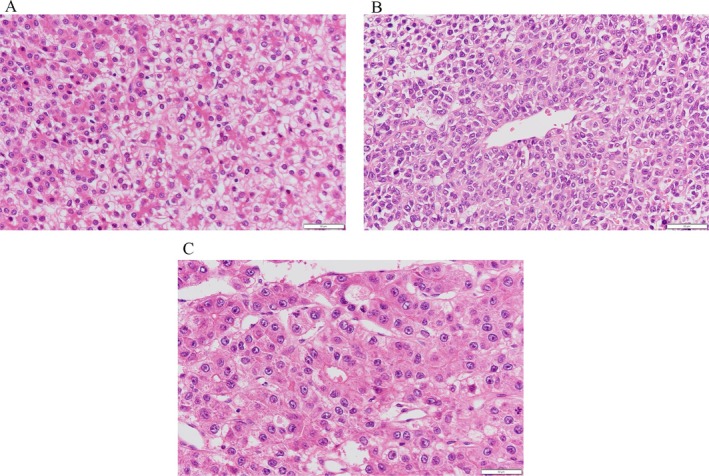 FIGURE 2