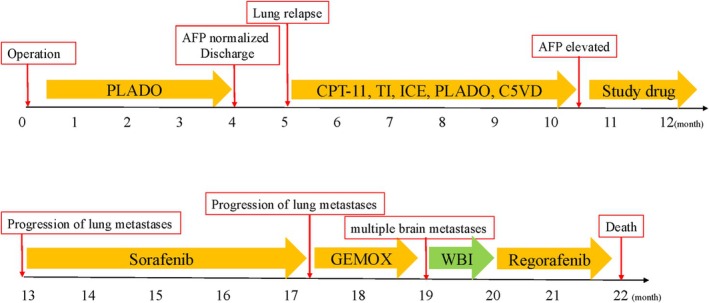 FIGURE 3