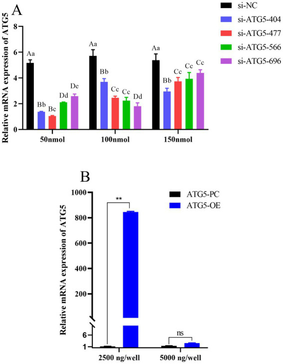 Figure 5
