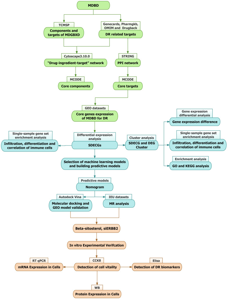 Figure 1