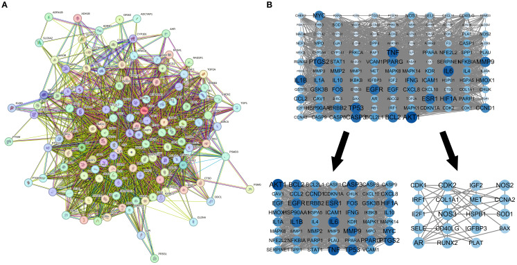 Figure 4