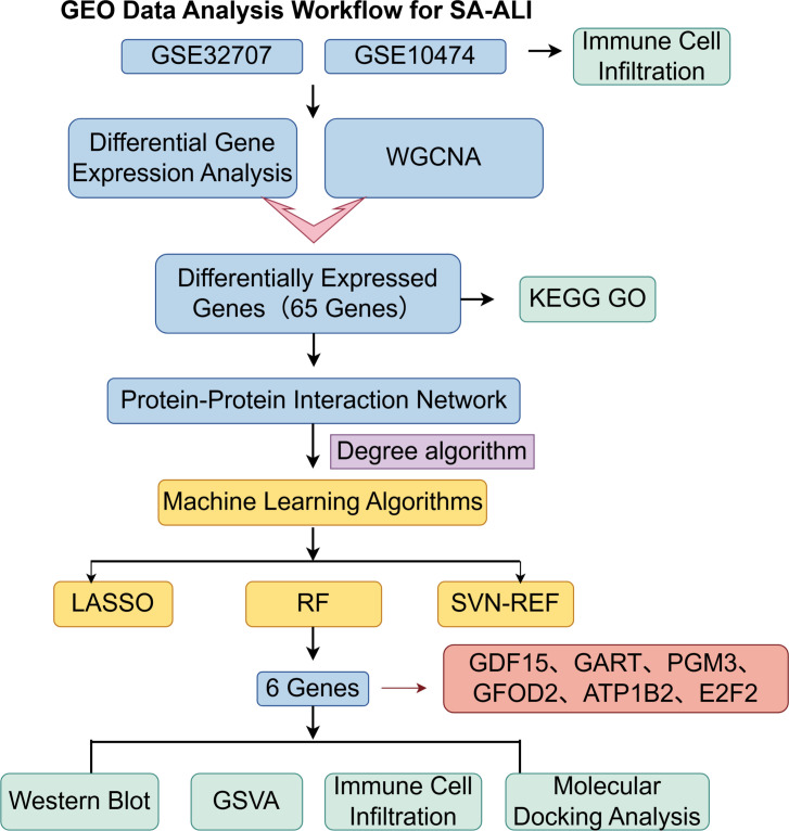 Figure 1
