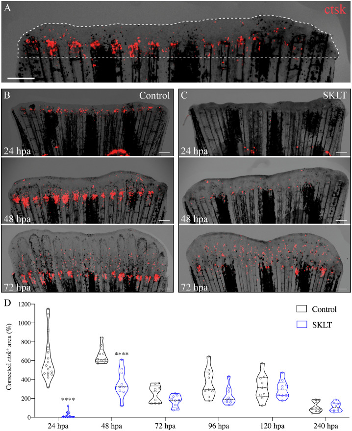 Figure 2