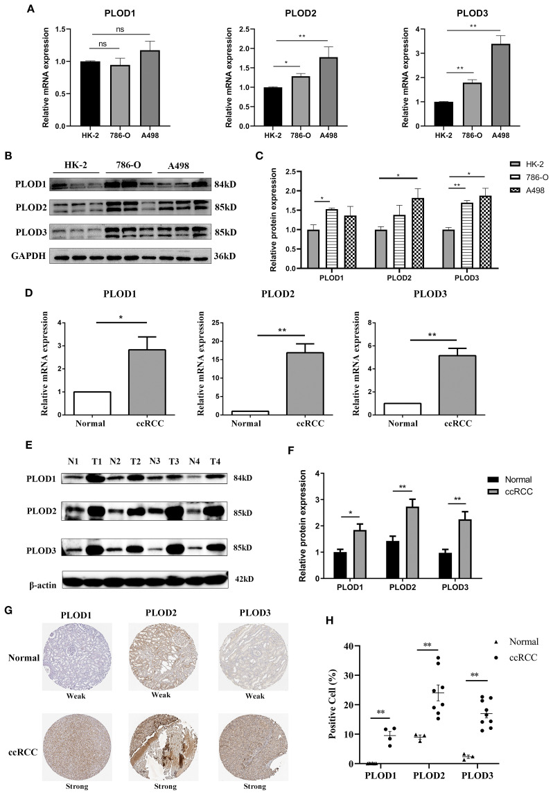 Figure 2