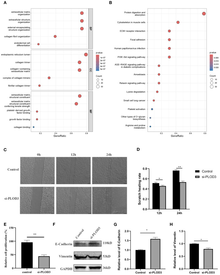 Figure 6