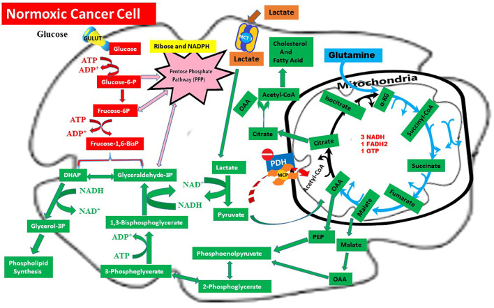 Figure 2