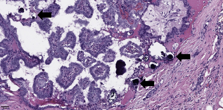 Figure 4
