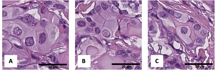Figure 6