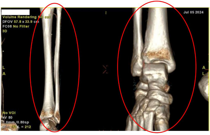Figure 7